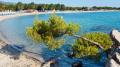 Album foto Halkidiki Sithonia
