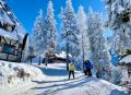 Album foto Poiana Brasov