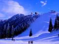 Poiana Brasov