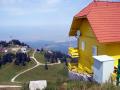 Album foto Poiana Brasov